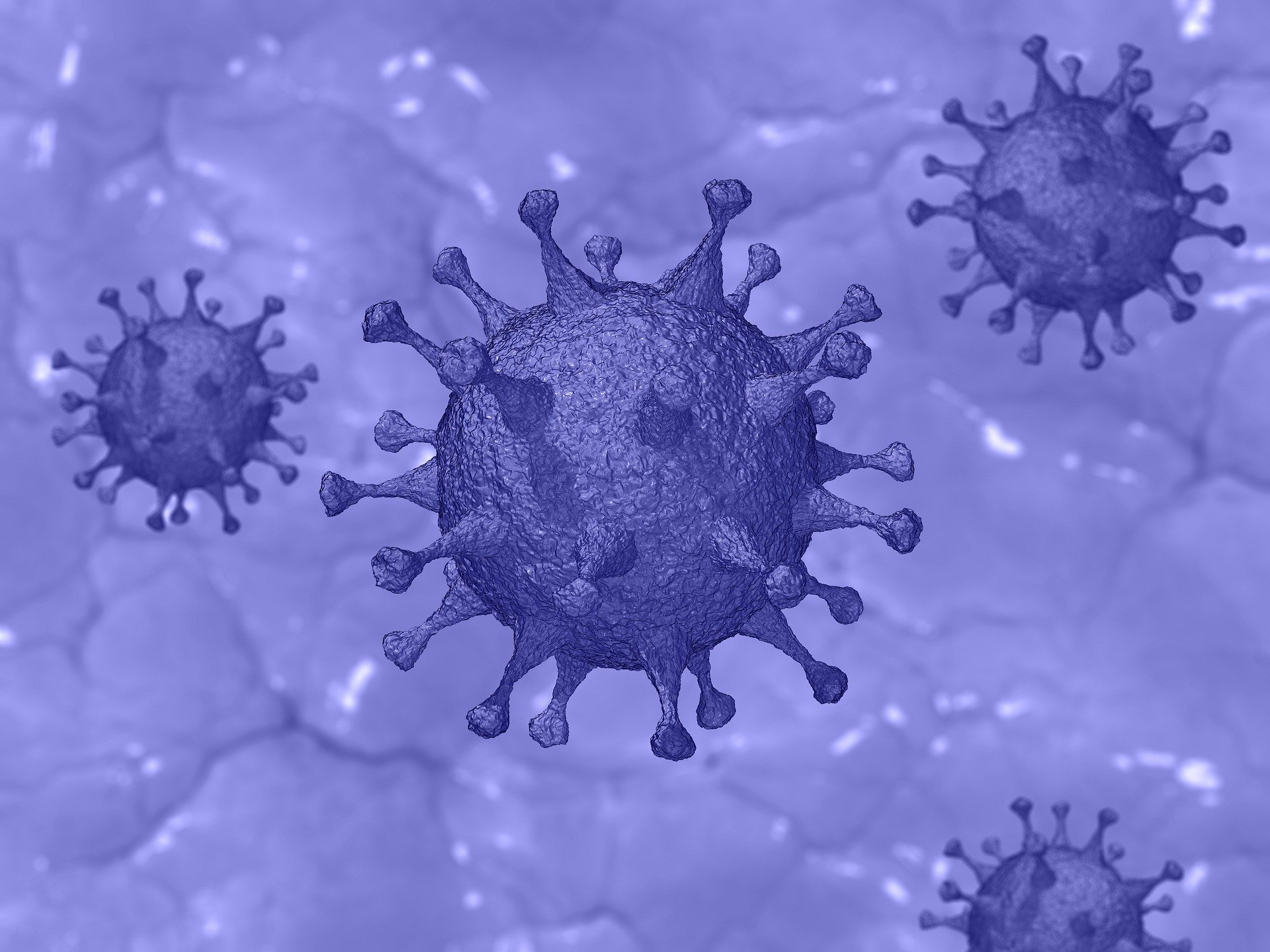 Coronavirus et frontière suisse
