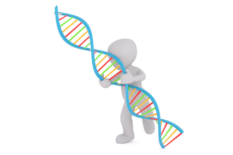 Projet de loi bioéthique, pour un consensus prudent
