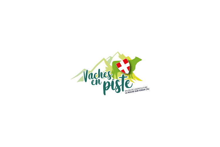 Vaches en piste

